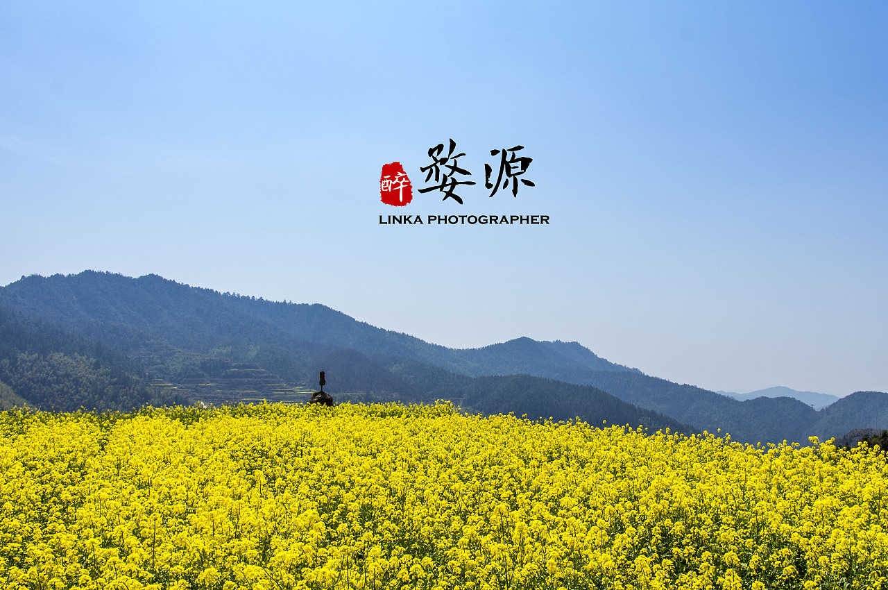 01de7755411727000001e71bdf7ebc.jpg@1280w_1l_2o_100sh