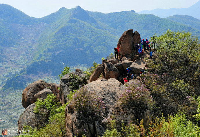 001YRz1jzy6IjnIGRh547&690