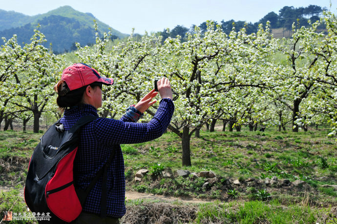 001YRz1jzy6IjnPubnae8&690