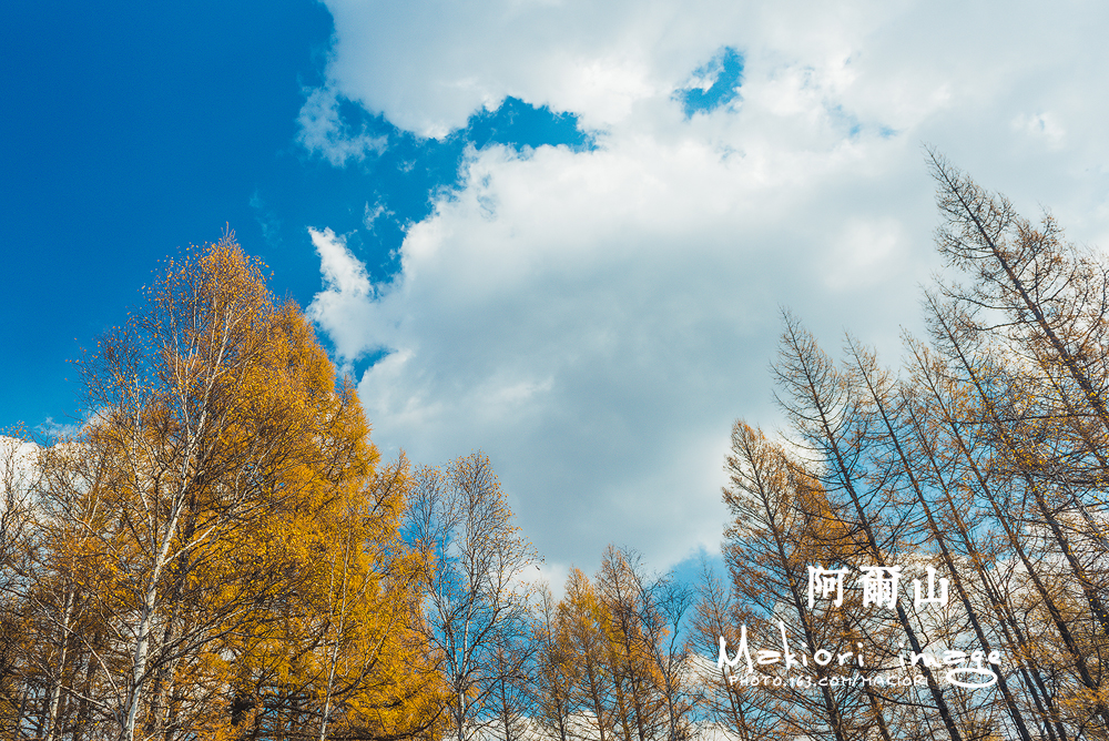 阿尔山13