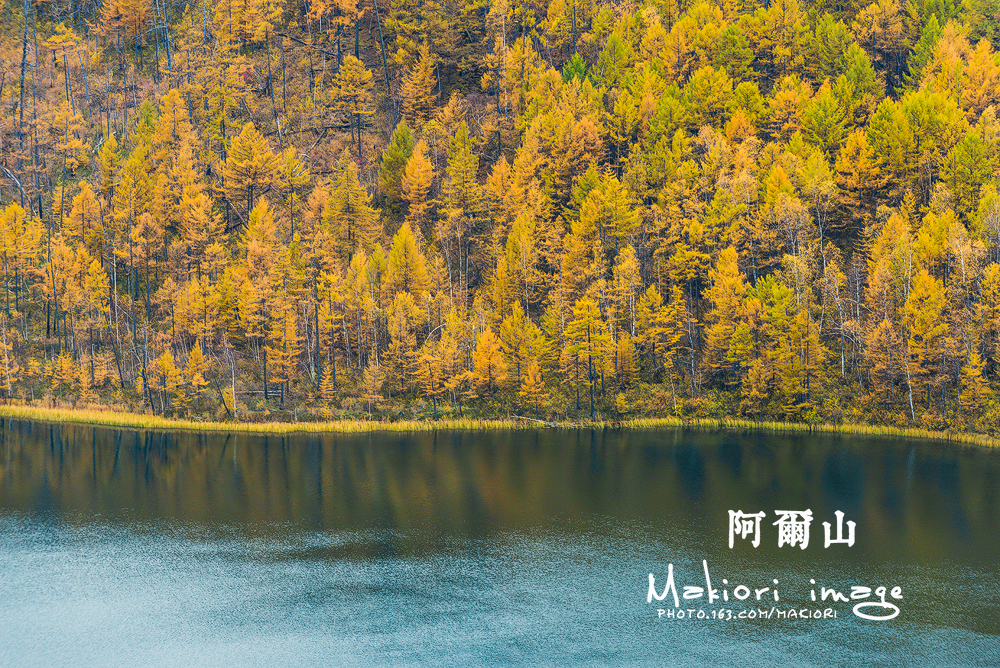 阿尔山22