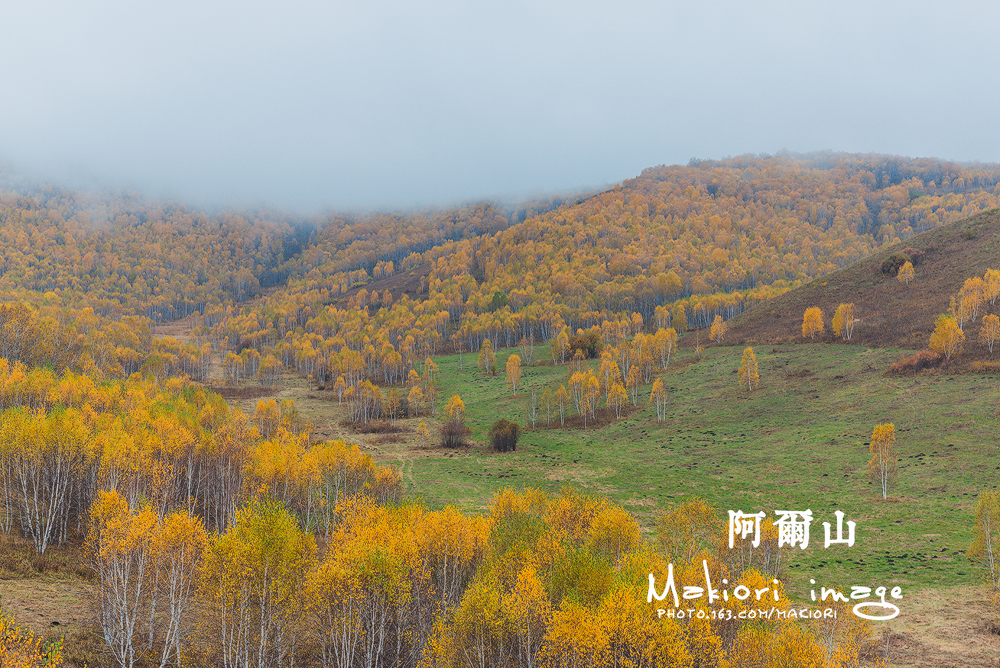 阿尔山36