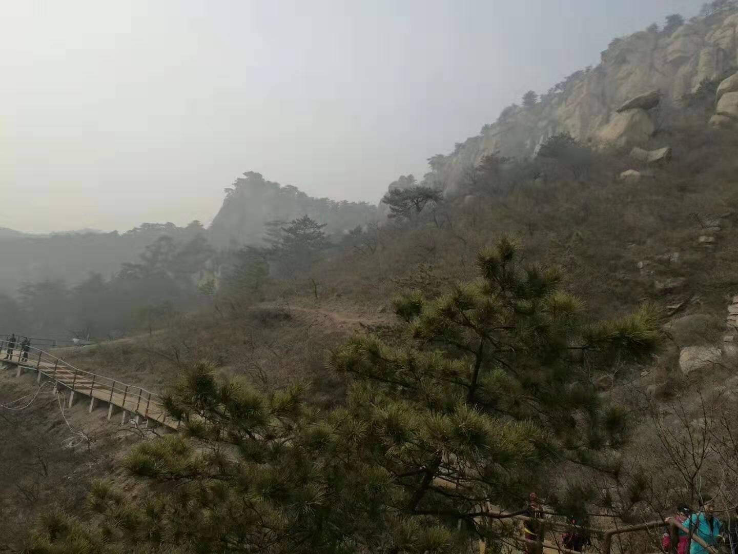 微信图片_20190304152100 微信图片_20190304152100