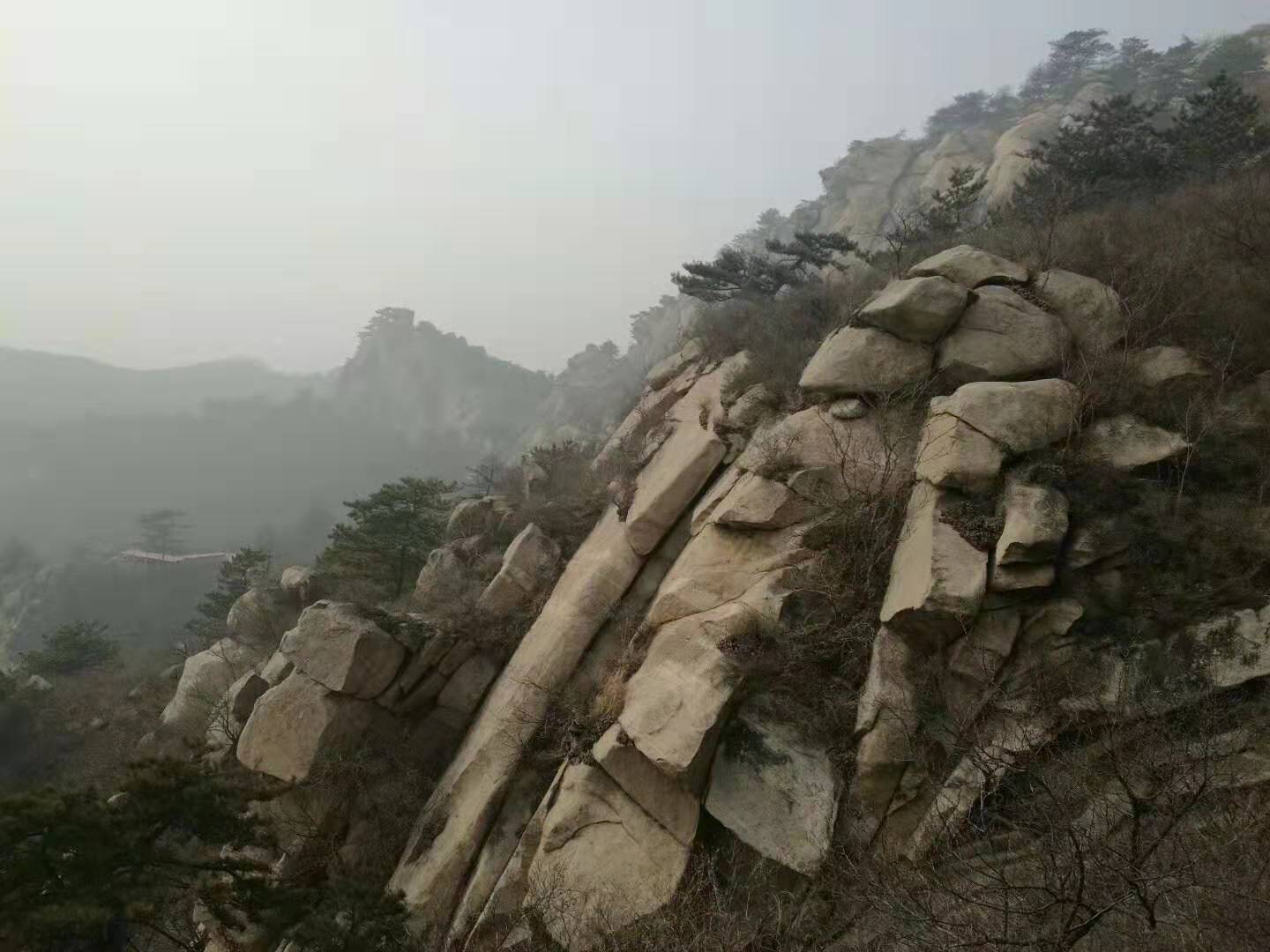 微信图片_20190304152105 微信图片_20190304152105