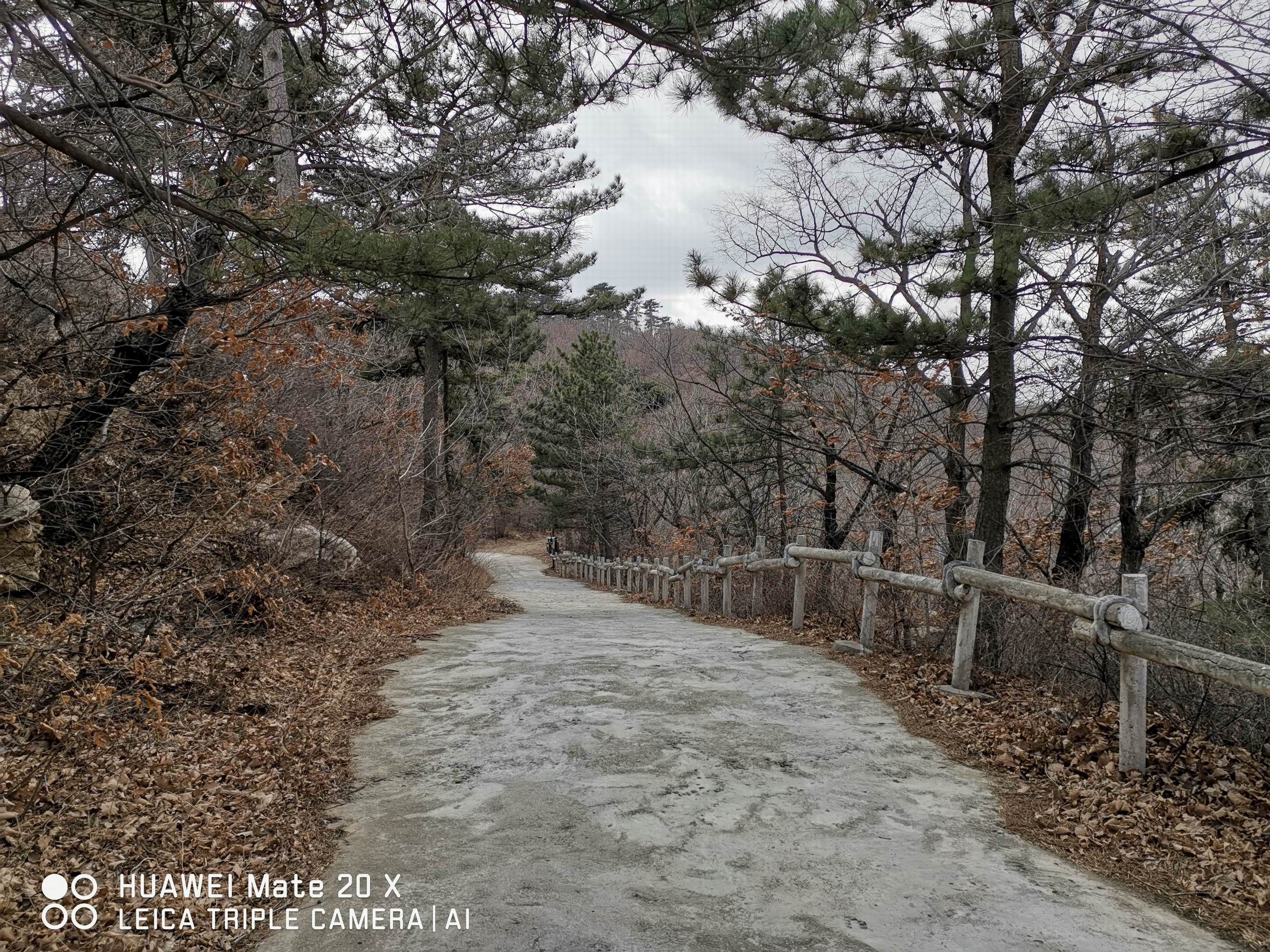 调整大小 调整大小 调整大小 微信图片_20190316153802 调整大小 调整大小 调整大小 微信图片_20190316153802