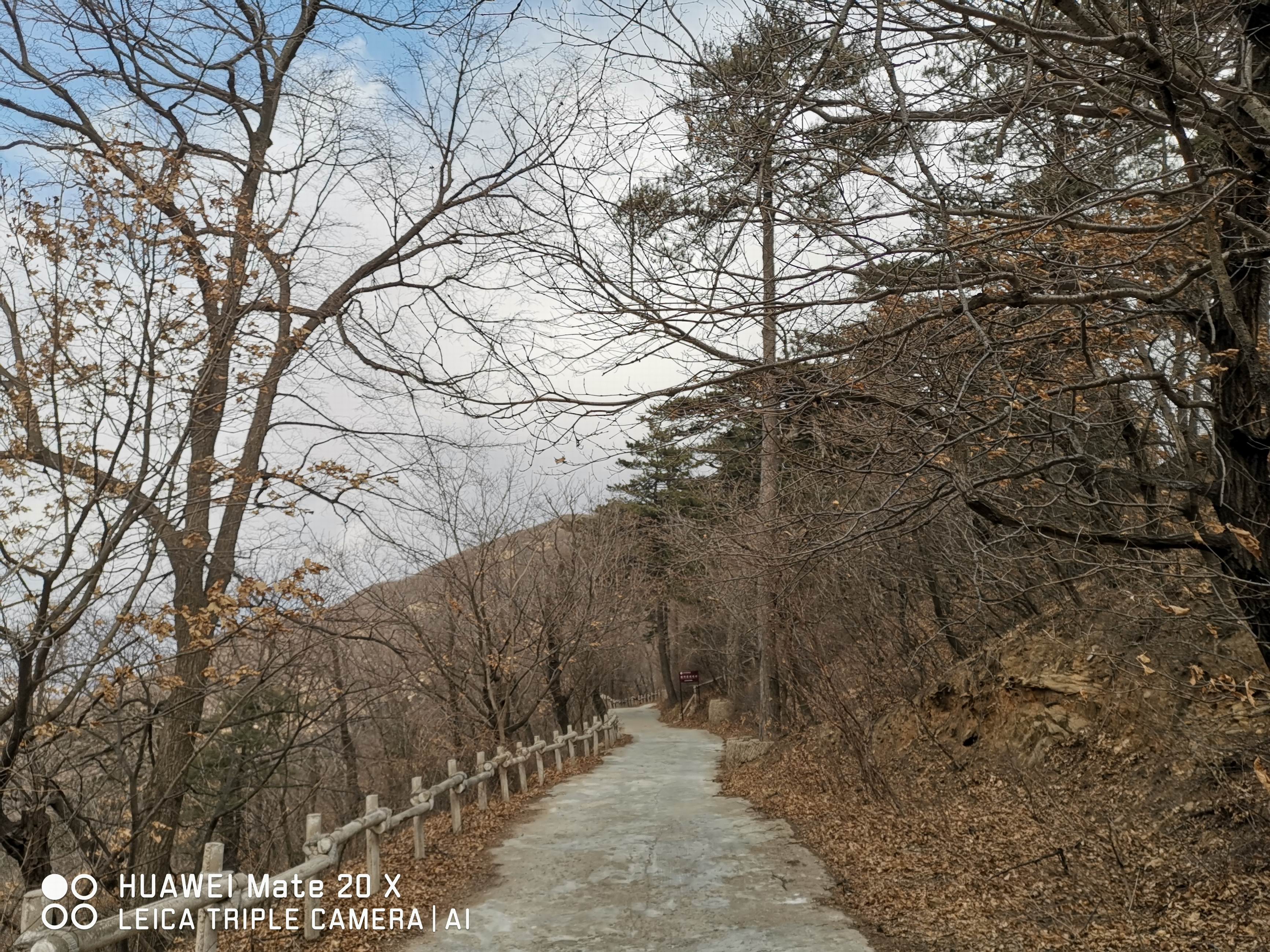 调整大小 微信图片_20190316153757 调整大小 微信图片_20190316153757