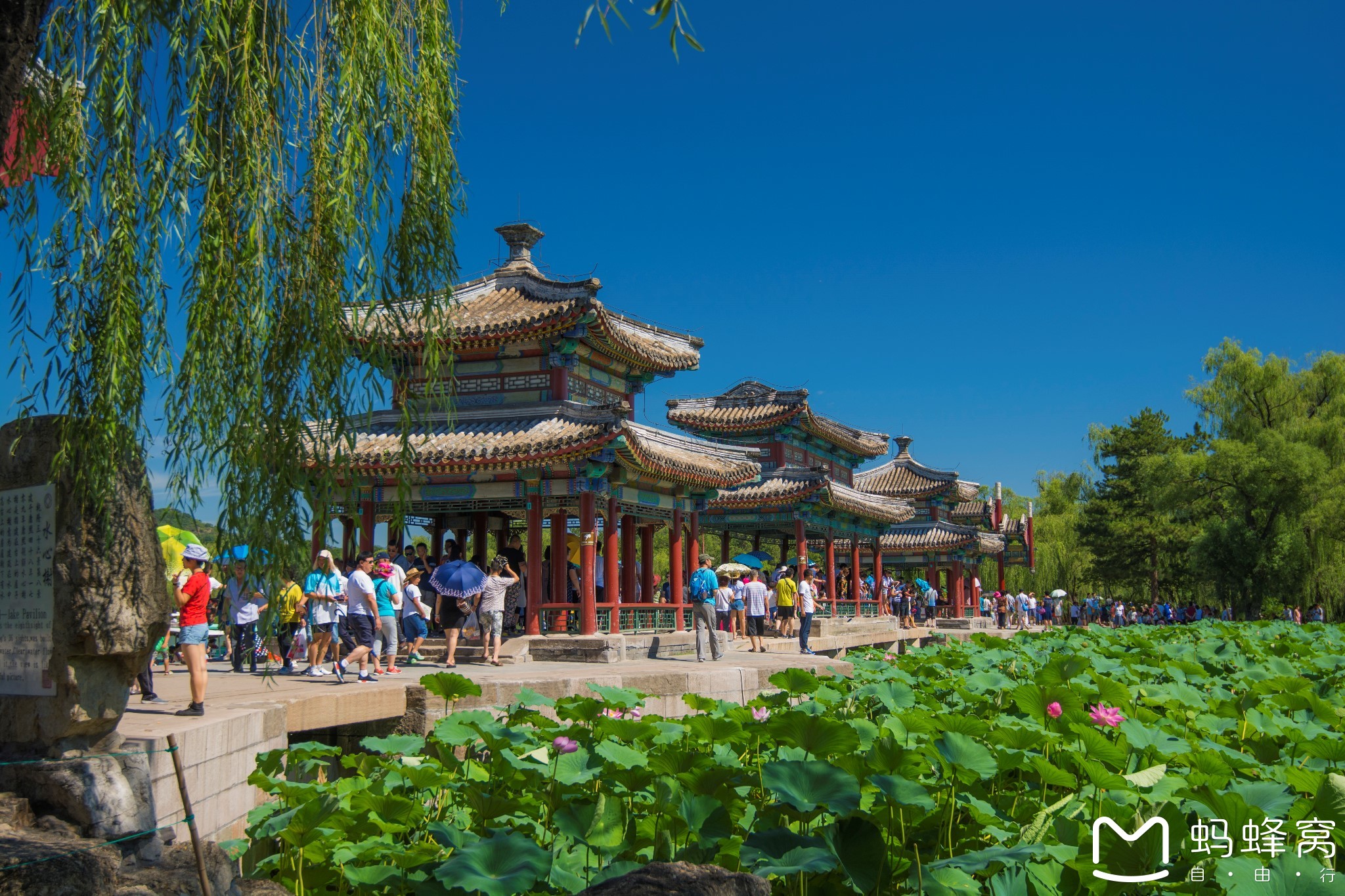 wKgBZ1irBq-Ae_b-AA1eBVMYfwk77