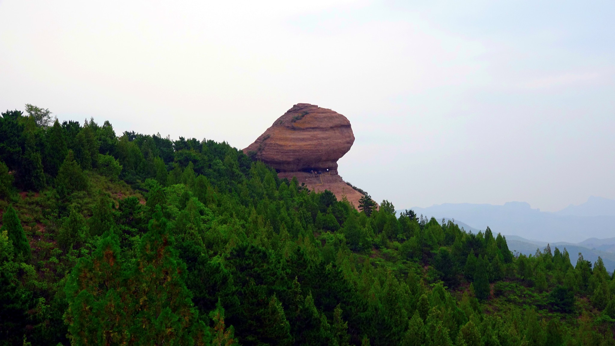 wKgBZ1llpOKAWRu5AAaiBWbYNLA45