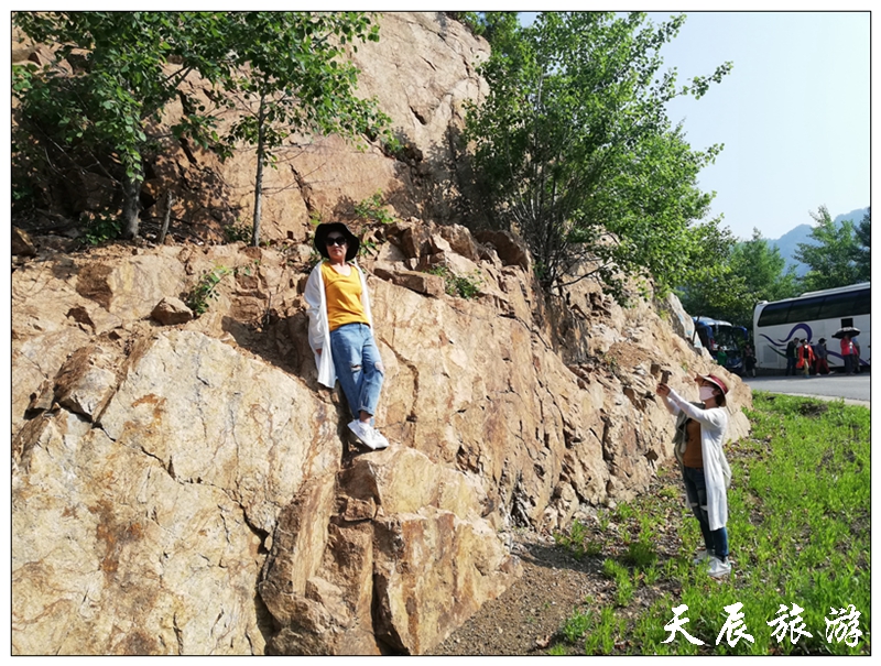 微信图片_201906041200293