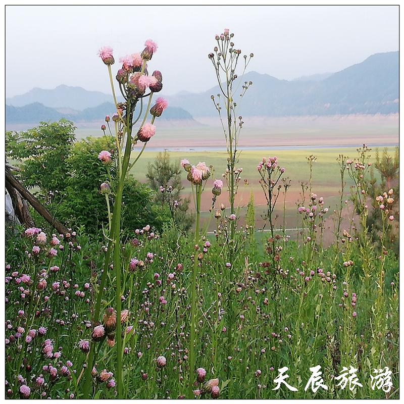 微信图片_20190604120030