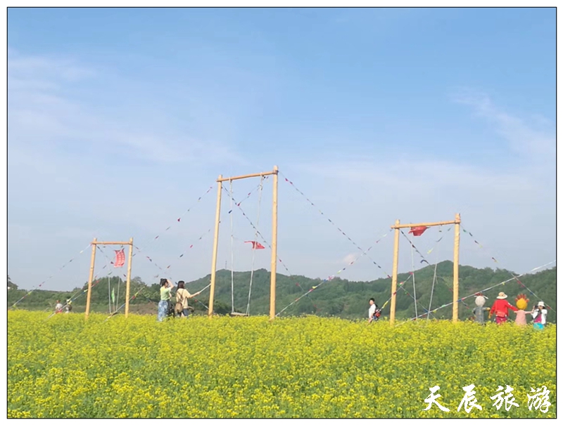 微信图片_201906041200285