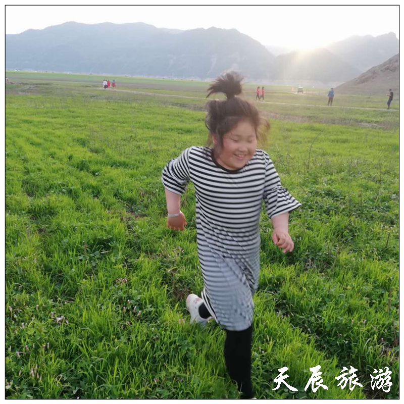 微信图片_201906041200301