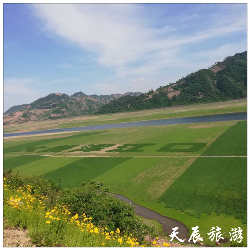 微信图片_2019060412003014
