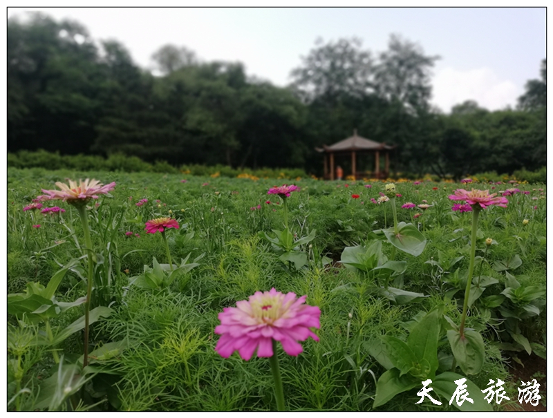 微信图片_201907160823013