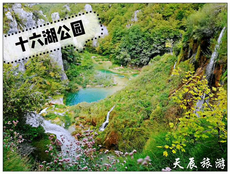 照片2019.9 210 照片2019.9 210