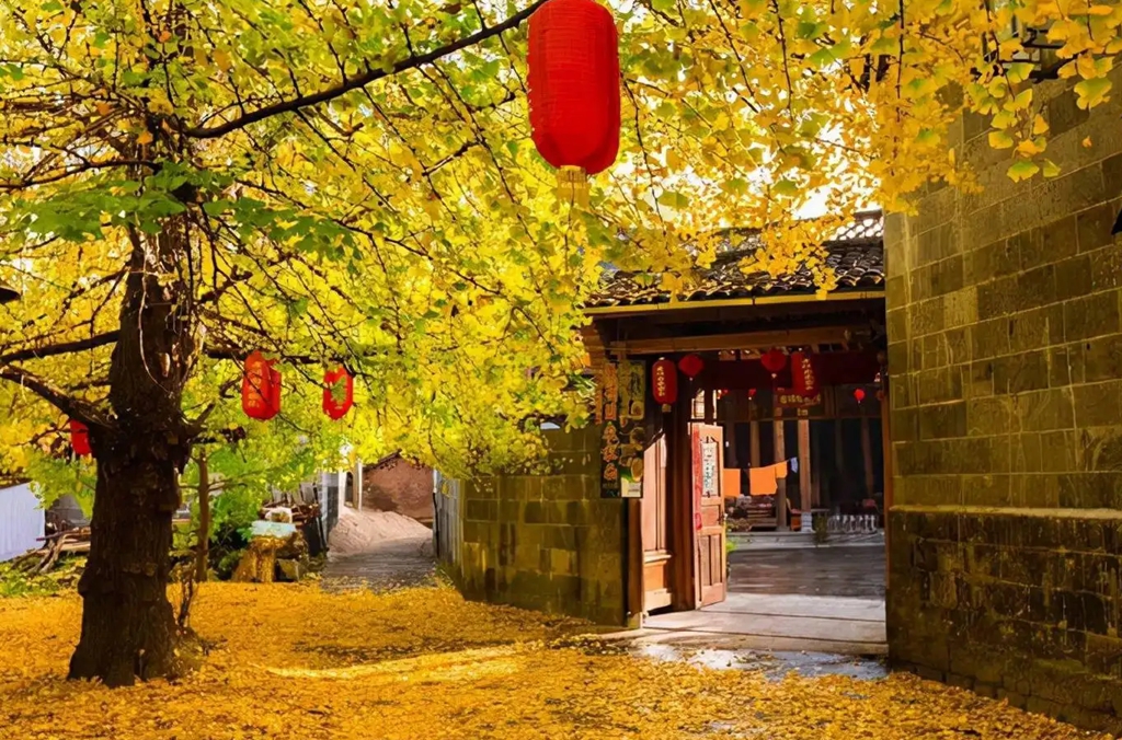 微信图片_20221102202858 微信图片_20221102202858