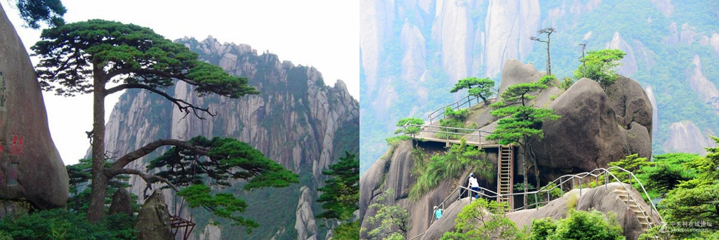 光影魔术手拼图2