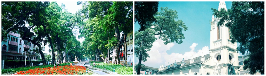 微信图片_20231205095708沙面岛_副本