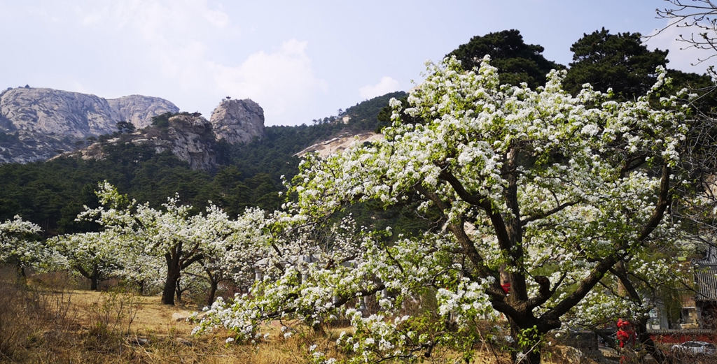 微信图片_20240414091406