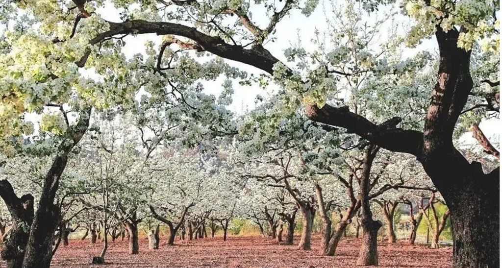 微信图片_20240414091350