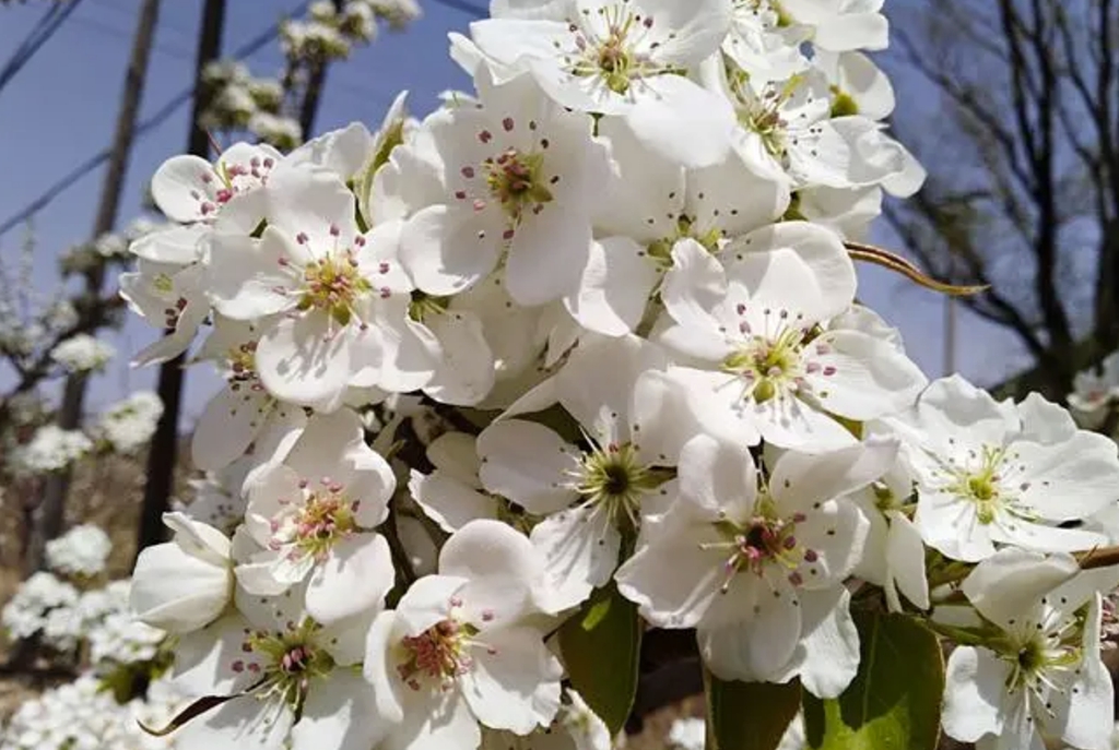 微信图片_20240414091410