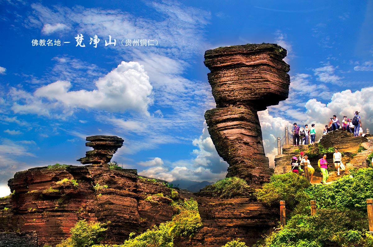 112220nmvrztwjmp5v59m6