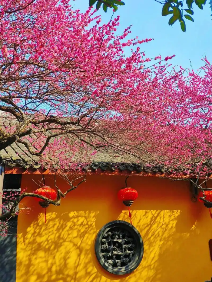 微信图片_20241226172953_副本