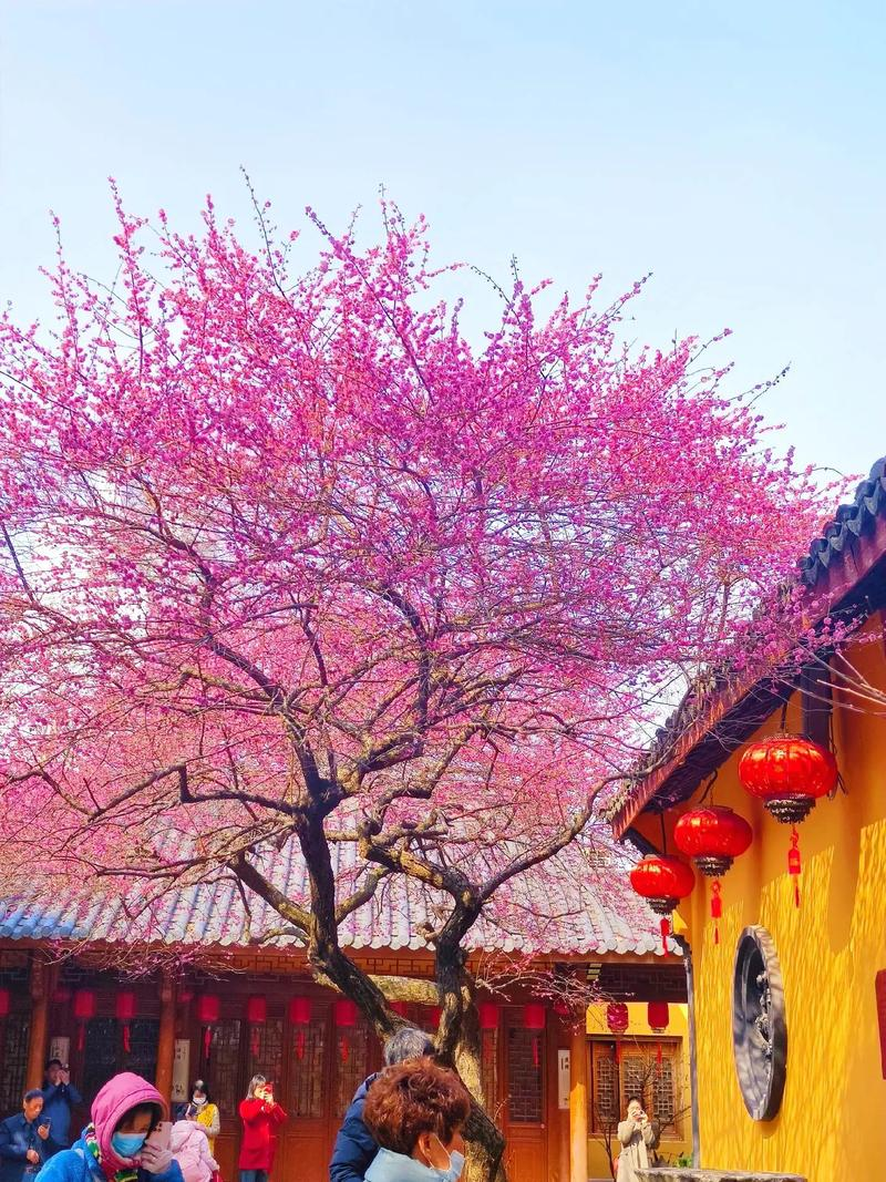 微信图片_20241226172947