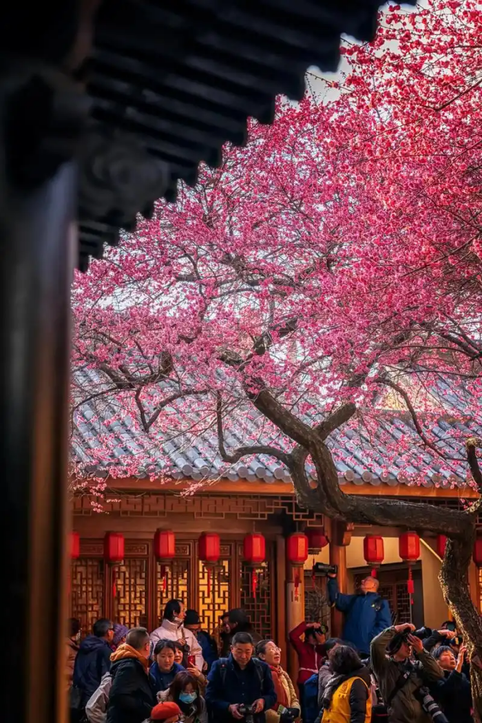 微信图片_20241226173004_副本