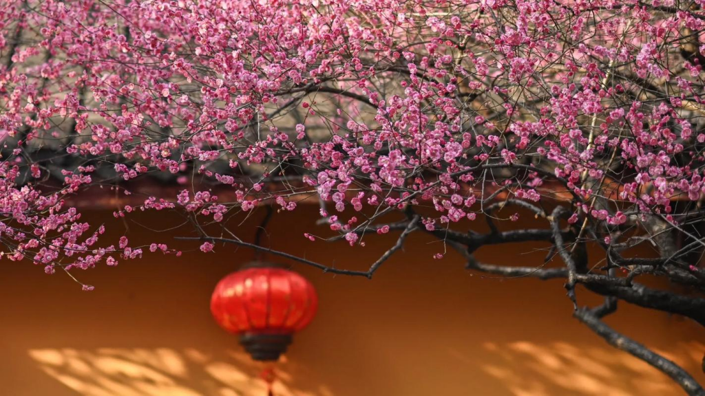 微信图片_20241226173018_副本