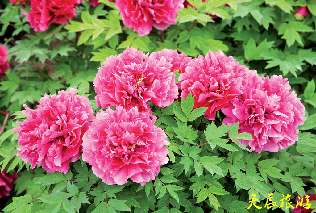 d53f8794a4c27d1e09fffcfa1ed5ad6eddc43837