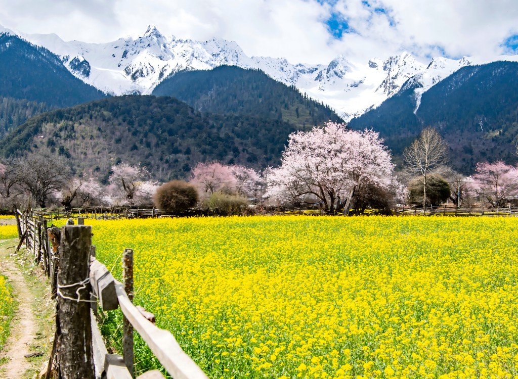 沿途风景