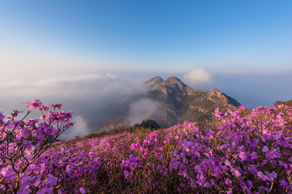 c3a924ef1c1076c156e4da080c8a50f4