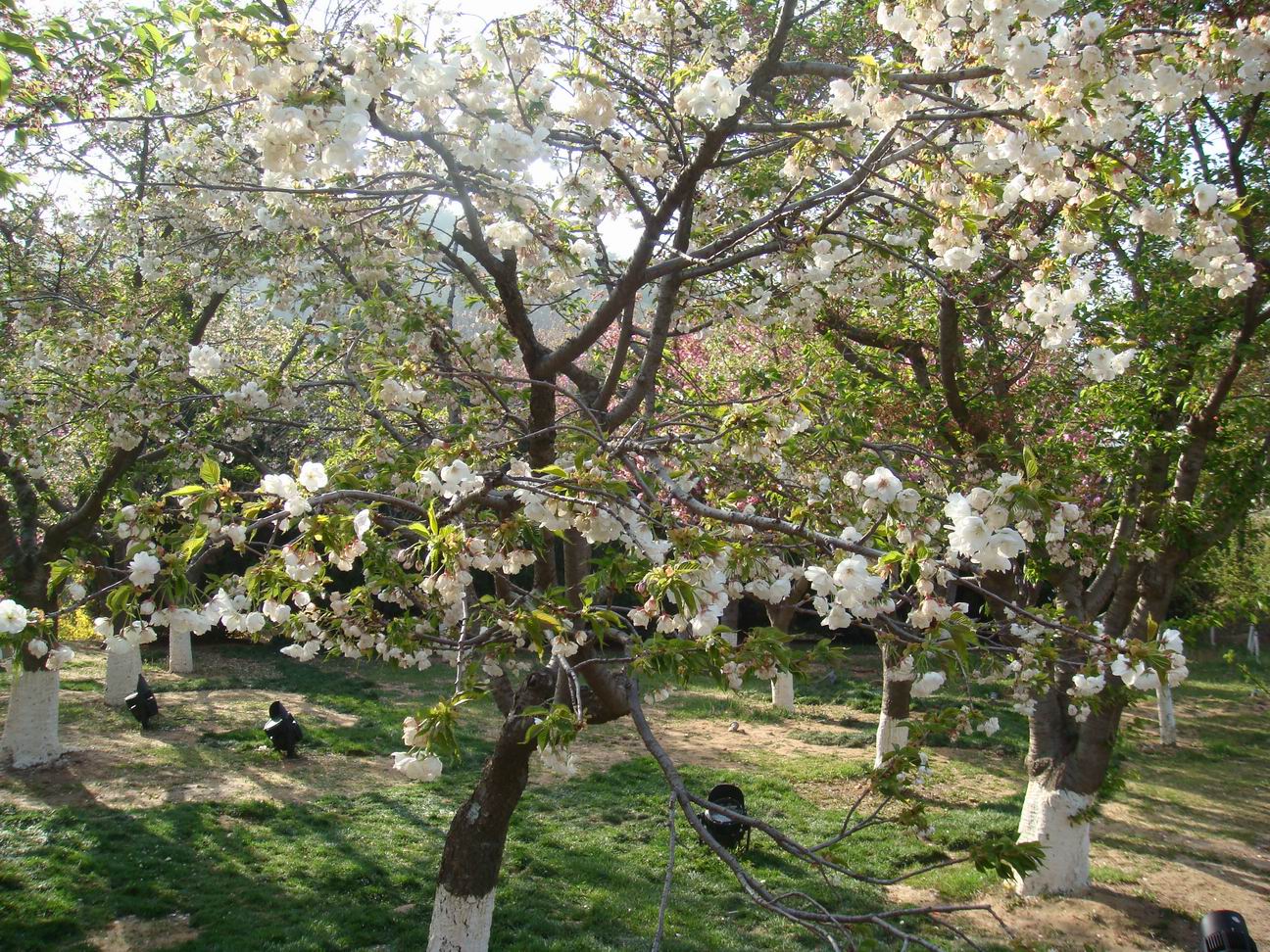 3cd3217ee7dfd9e7aa9bde507d30aa3f