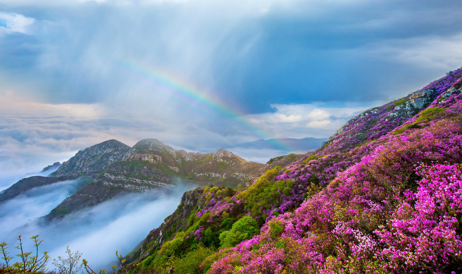 cc03dc06a1115e9f7b1d572ba1afa00c