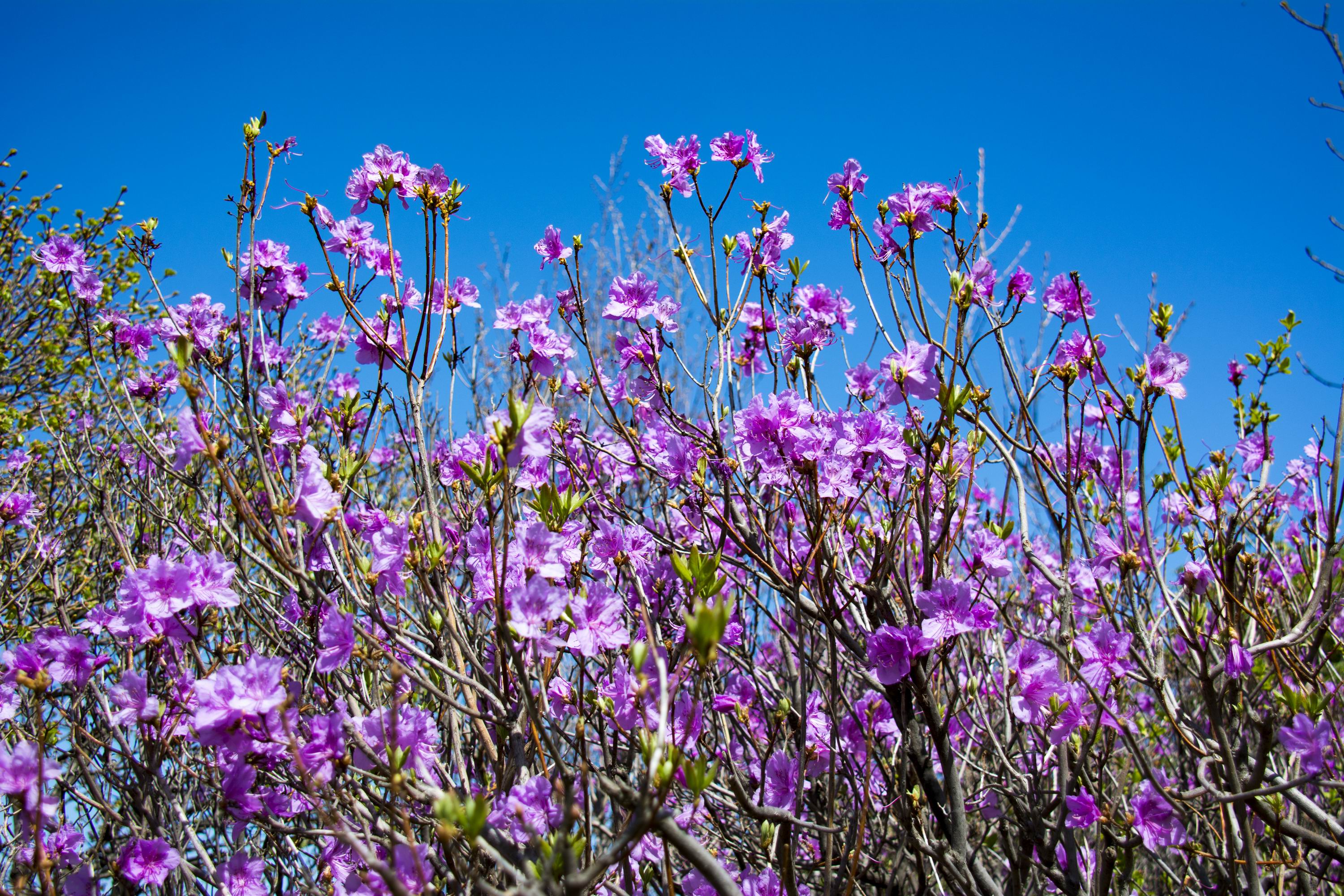 d4722cbdd9acff9240ab985201761d15