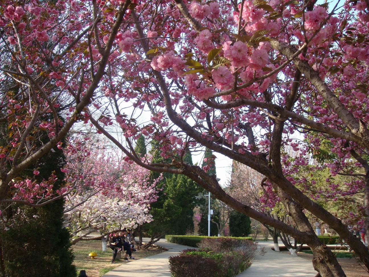 0ff0d71eef559312237886d47498b6d0