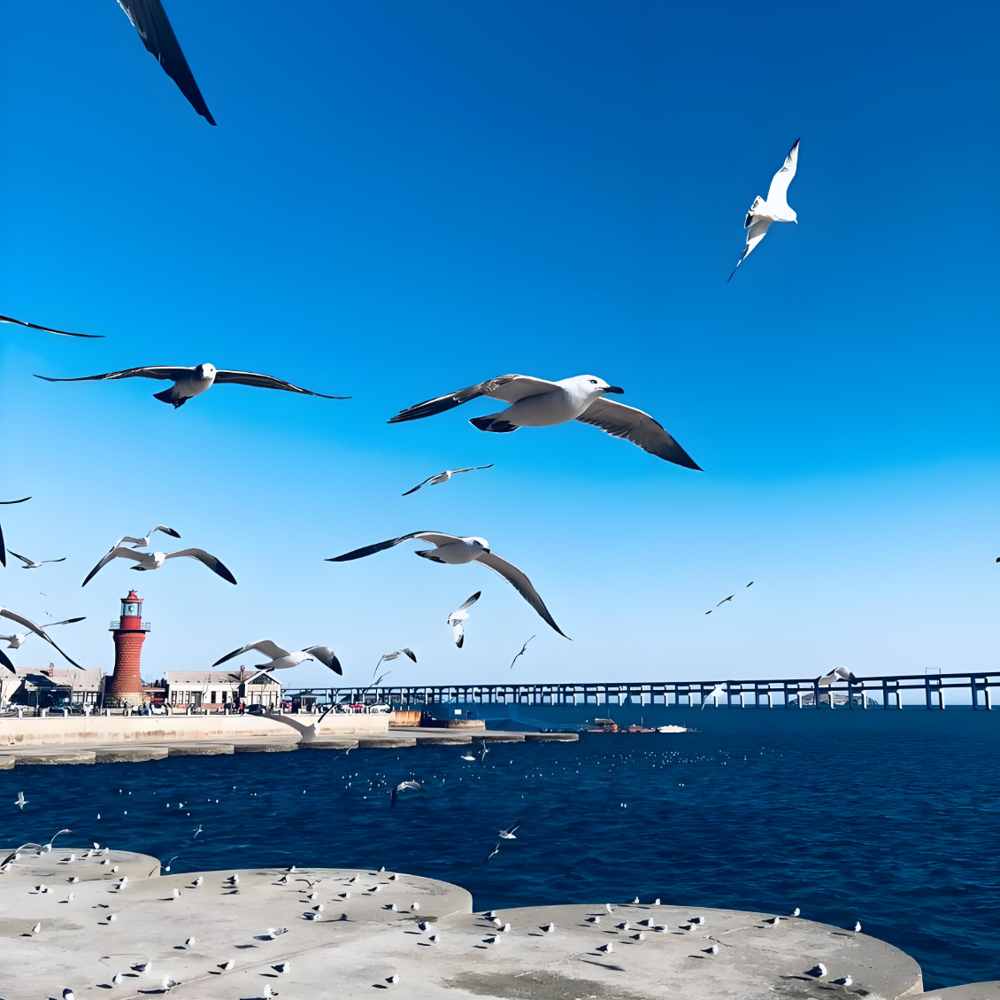 微信图片_20250331175254