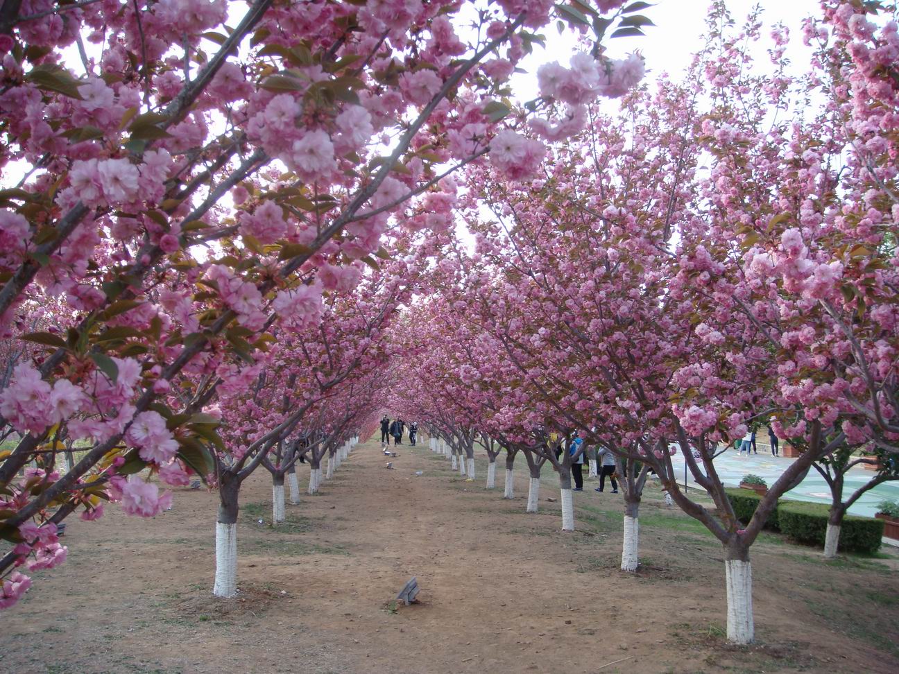 68ea206fcf791ebb1db642a14c4fd9fb