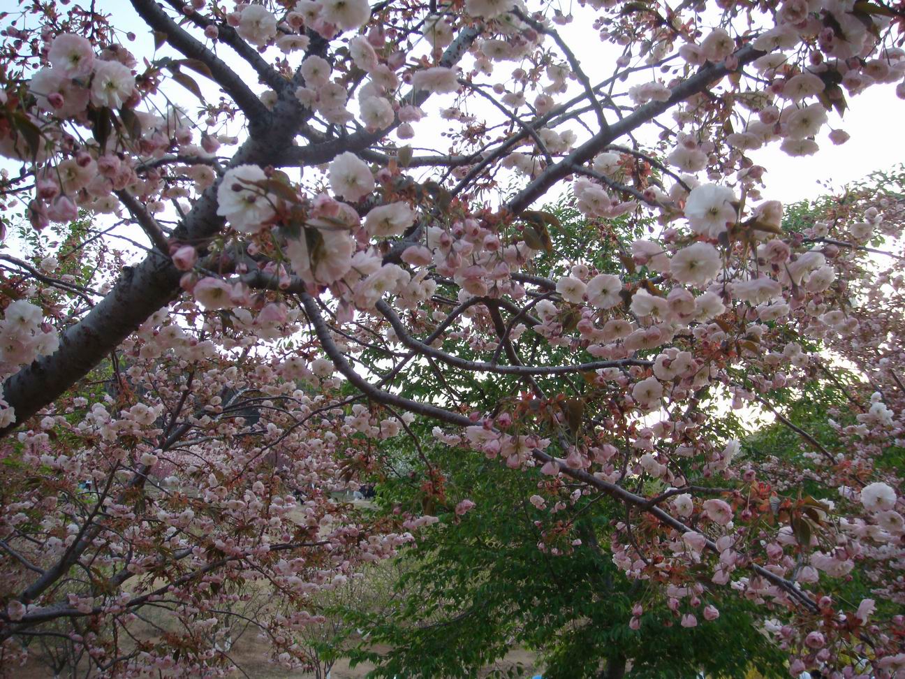 4c5c3ada2d6f3c78e33e0f590df1a621