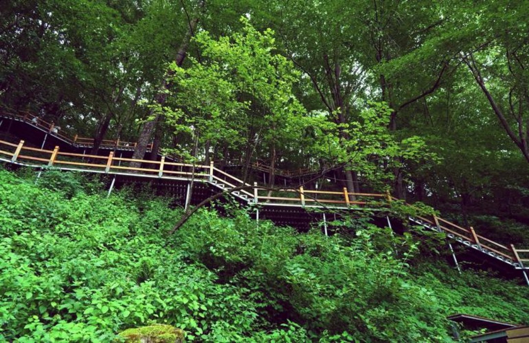 三角龙湾景区1