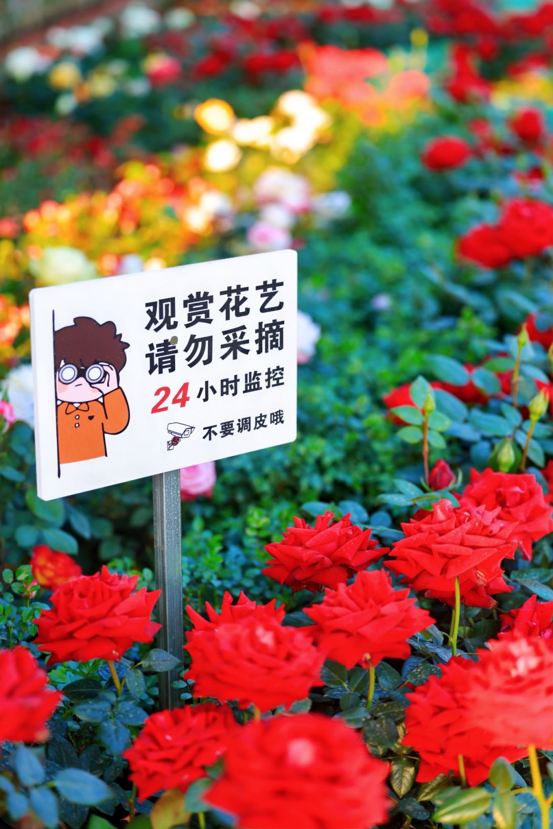 辽阳2