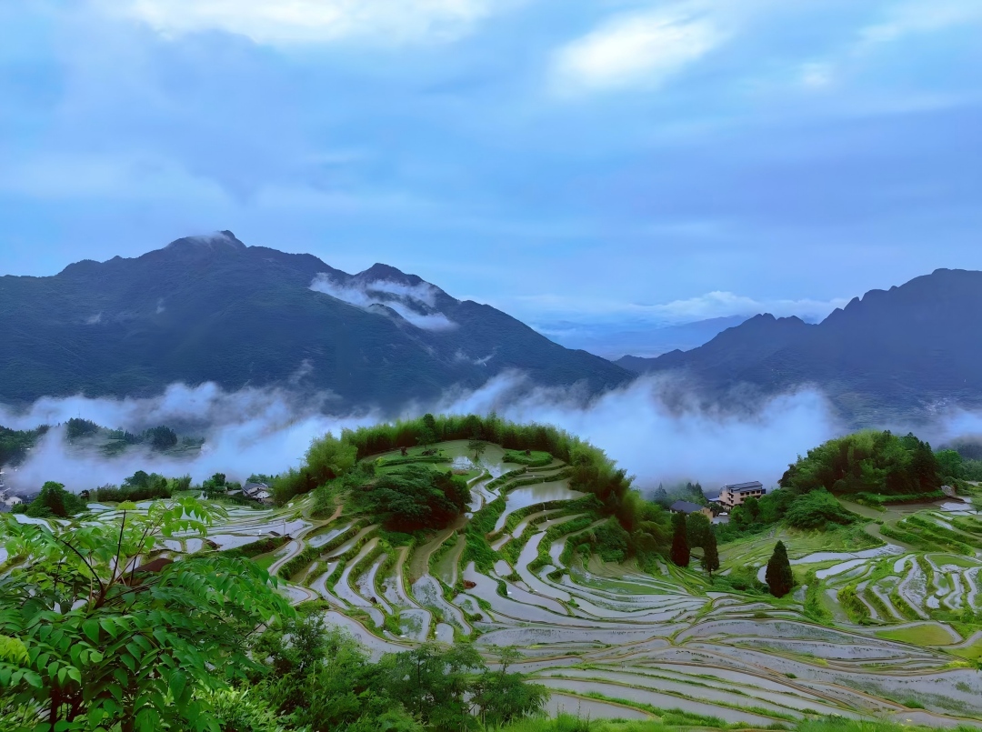 云和梯田1(1)