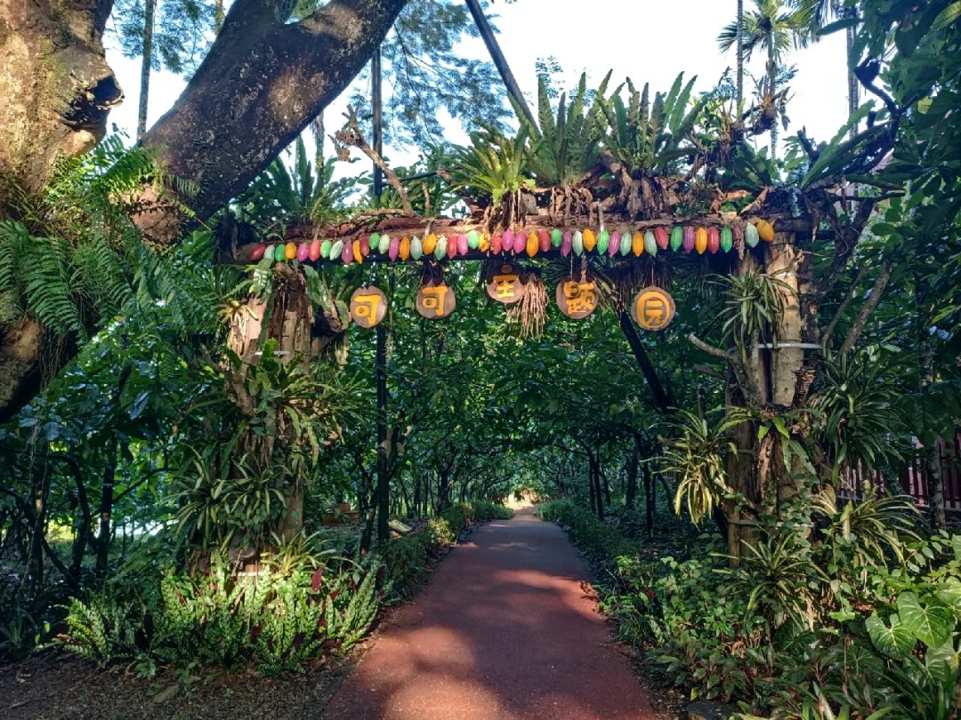 兴隆热带植物园