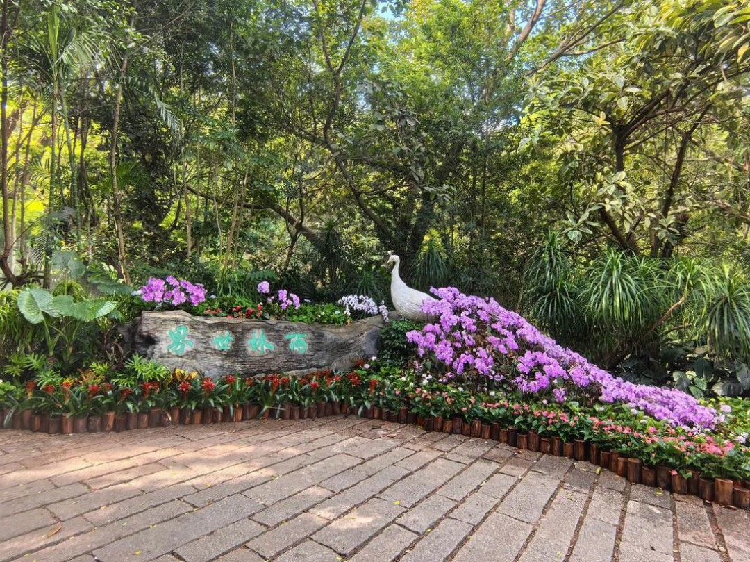 厦门热带植物园(1)