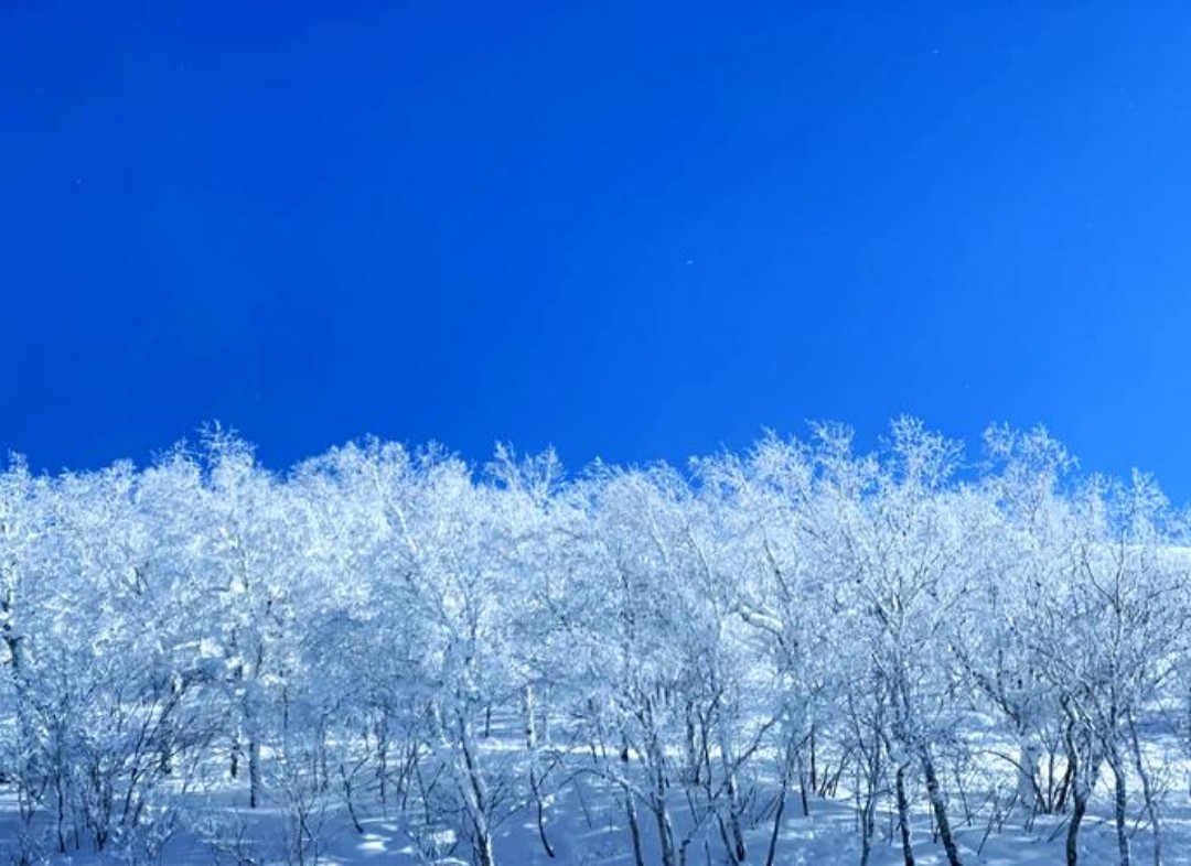 冰雪十里画廊