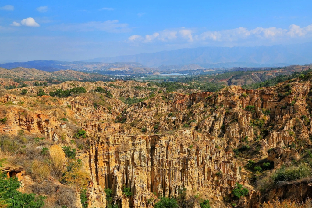 微信图片_20221119151432