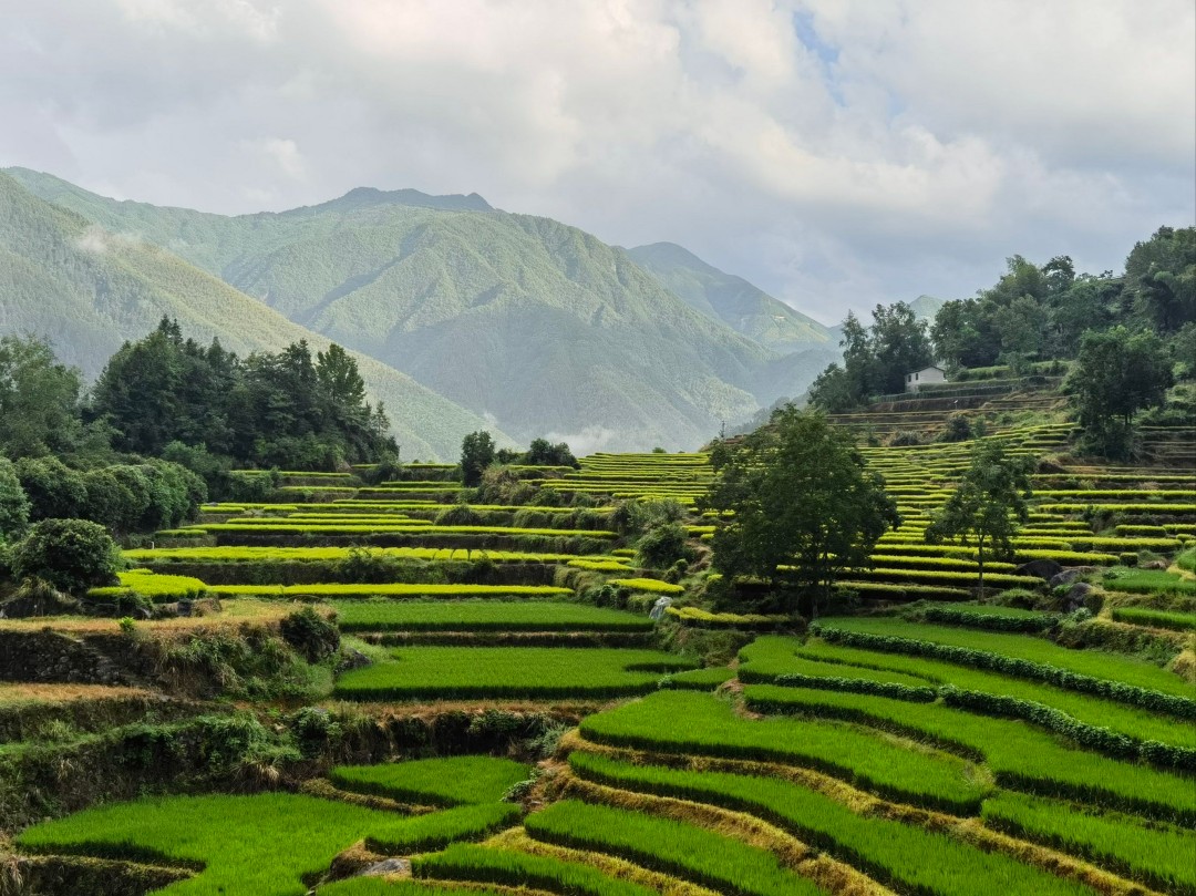 云和梯田