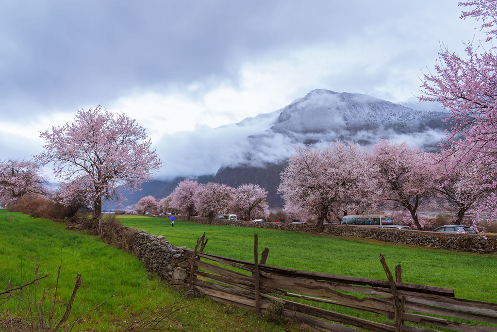 微信图片_20250110102001